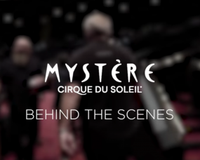 Mystere Cirque Du Soleil Behind The Scenes